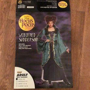 Hocus Pocus Halloween Costume